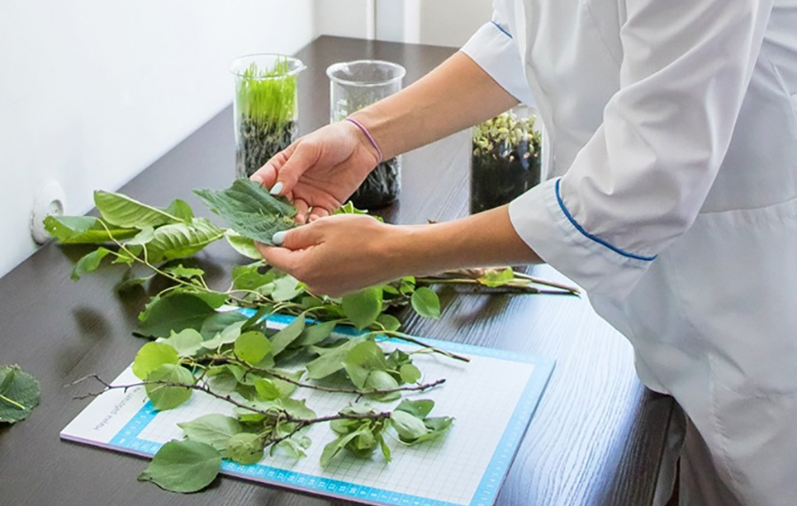 Noul laborator agricol "Augusta" va ajuta fermierii din Stavropol să crească recoltele