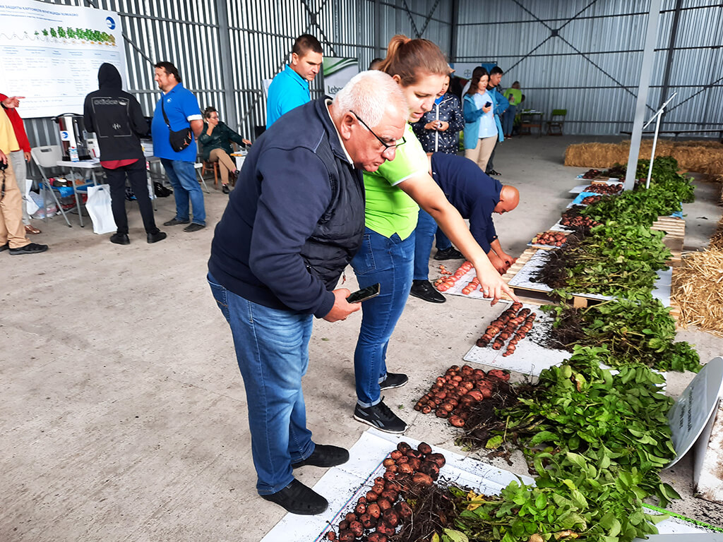 Întâlnirea cultivatorilor de cartofi din Stavropol