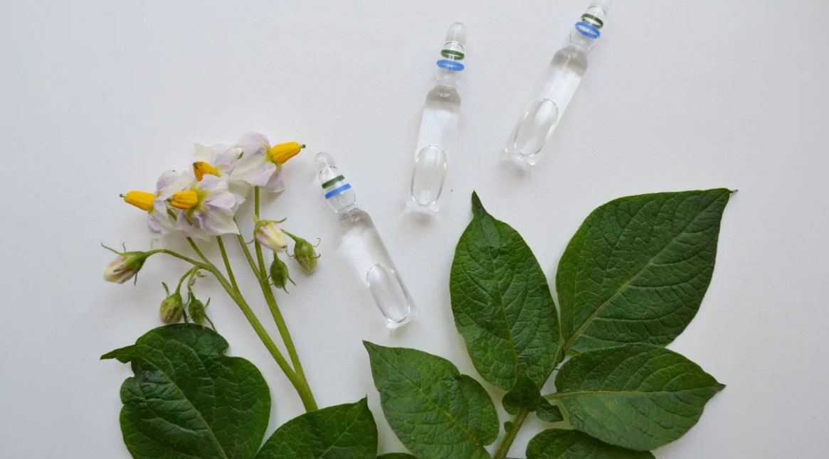 "7 din 10 persoane știu că este un fals și îl folosesc oricum": volumul produselor contrafăcute crește pe piața pesticidelor pentru grădinari și grădinari