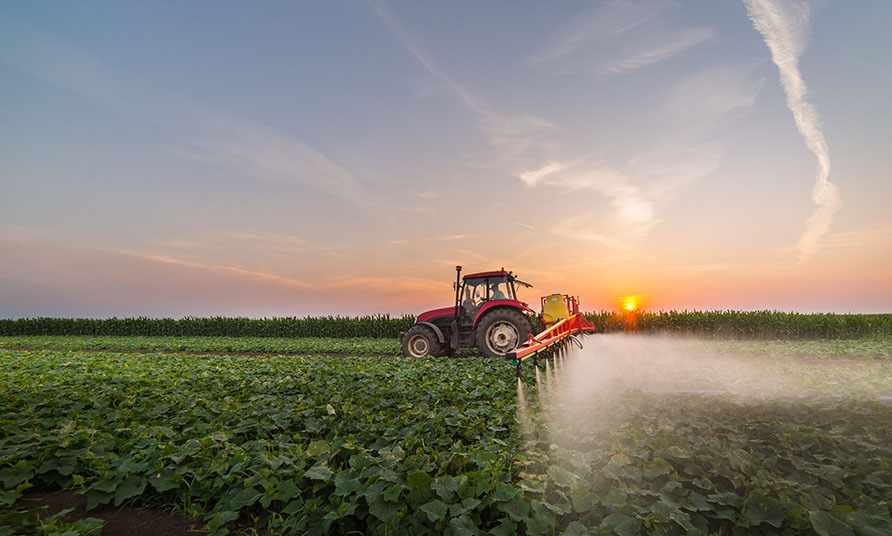 Falsificarea este o amenințare pentru domenii: experții din August au vorbit despre consecințele utilizării pesticidelor de calitate scăzută