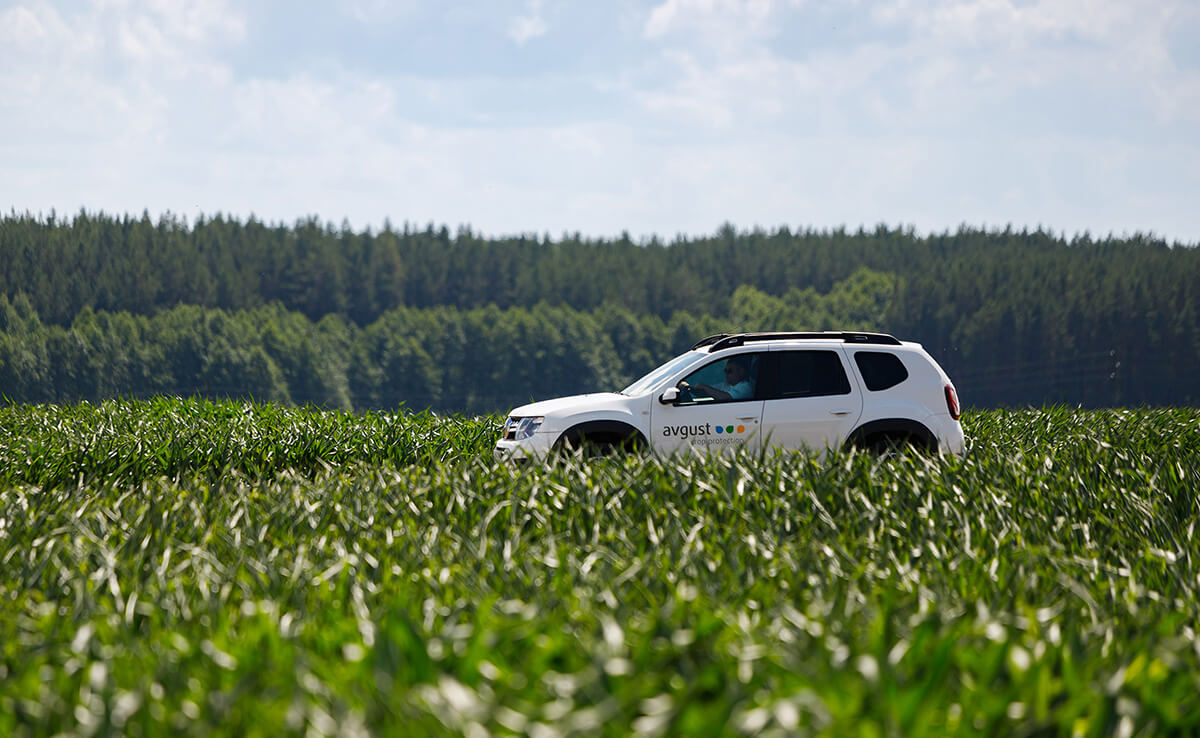 August-fermele Agro au produs 550 de mii de tone de produse agricole până la sfârșitul anului 2022