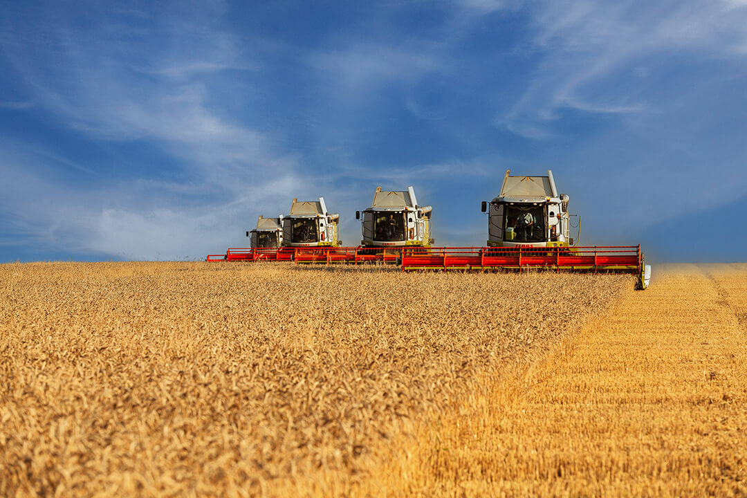 Ziua fericită a lucrătorilor din industria agricolă și de prelucrare