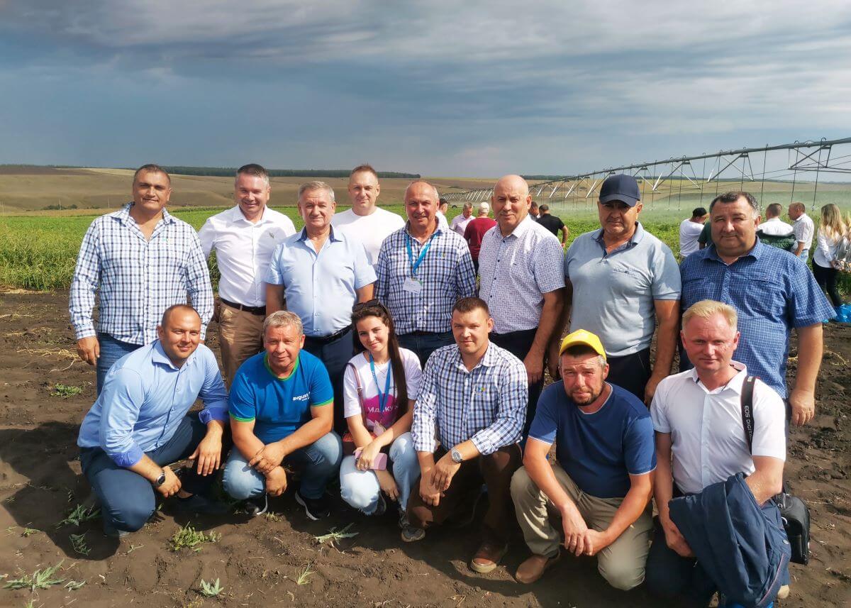 "August" în partea de jos a unui câmp pentru cultivatorii de cartofi din regiunea Samara